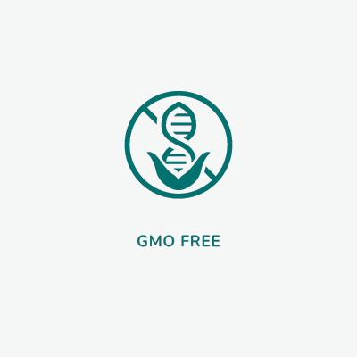 Within the circle is a DNA strand sprouting from a plant with a slash through it. Beneath the circle the words read: GMO Free. No Genetically Modified Organisms.